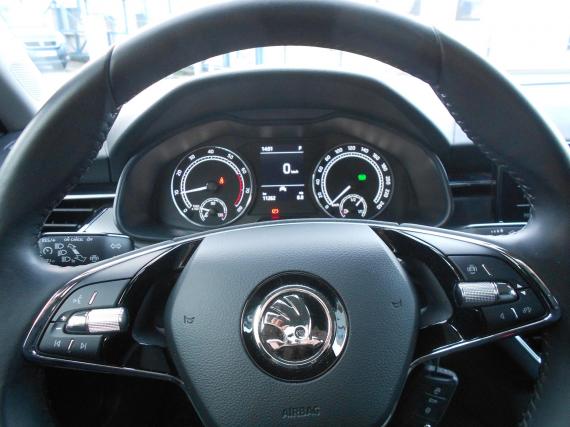 ObrázekŠkoda Kamiq 1,0TSi DSG7 1.maj ČR #3